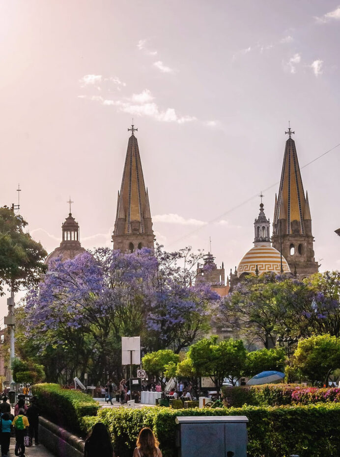 panaderia-guadalajara-01